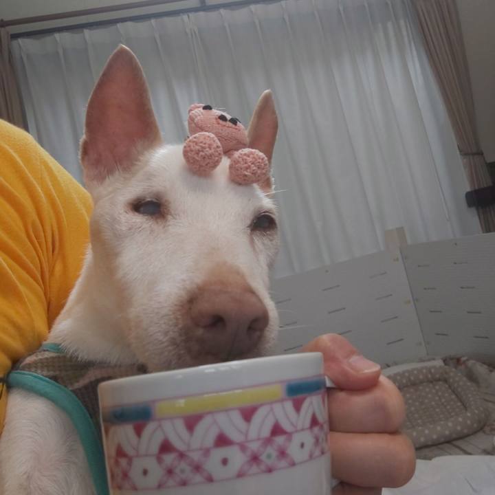 E2607ddd 82c9 4125 ae5b 29d75ef156da 1594513789674