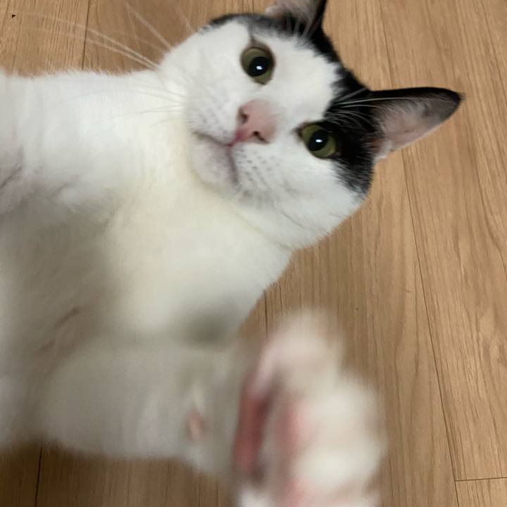 E2609983 70d7 476a 824d 4701089f40f5 1606558573411