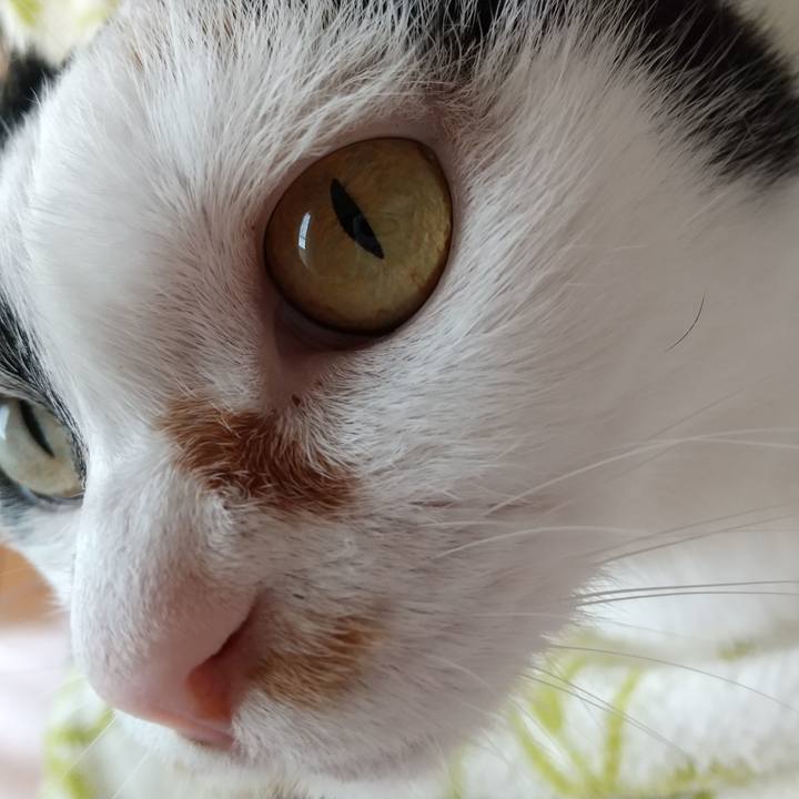 E260a836 b1be 44ad bb93 c45cf07106bf 1604621035616