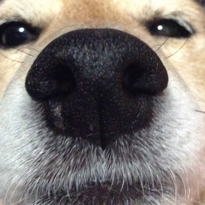 E260af23 f923 45b3 9a75 7ff0e779aee8 1523617415673