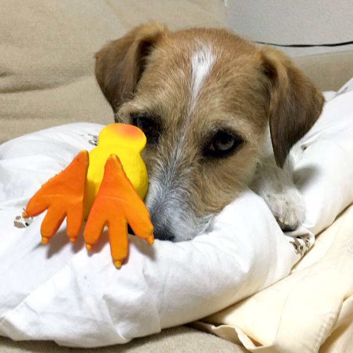 E260cc4c aaef 4809 bef0 57024c75d55d 1546695205313