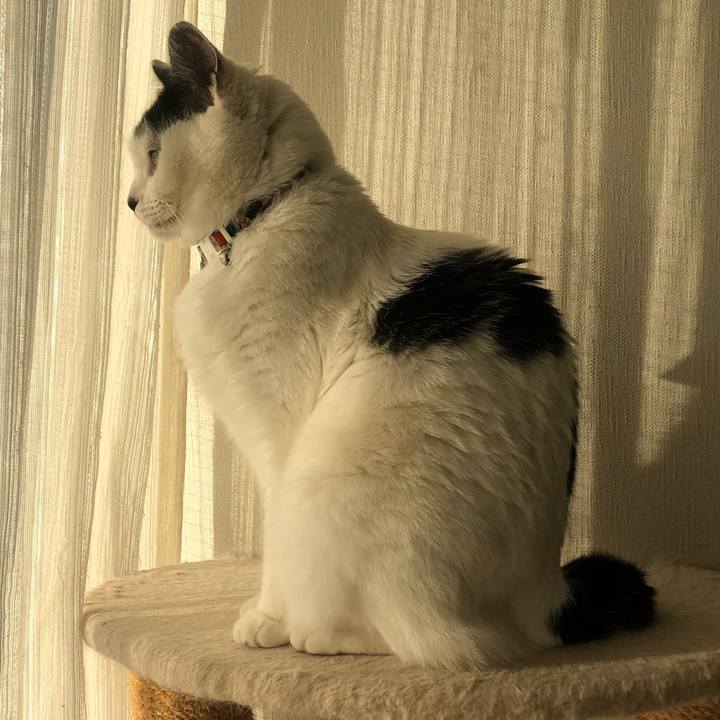 E2611ba5 3884 48e4 b574 f595a9912425 1579417164825