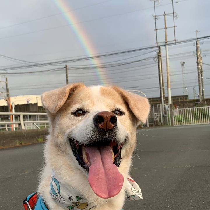 E2611f60 1610 4d99 a39a 2fd3a79a9a92 1660209718164