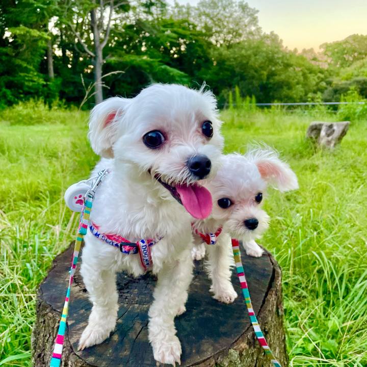 E2613de7 b0c9 419d 8343 01ce415ab67d 1634195779484