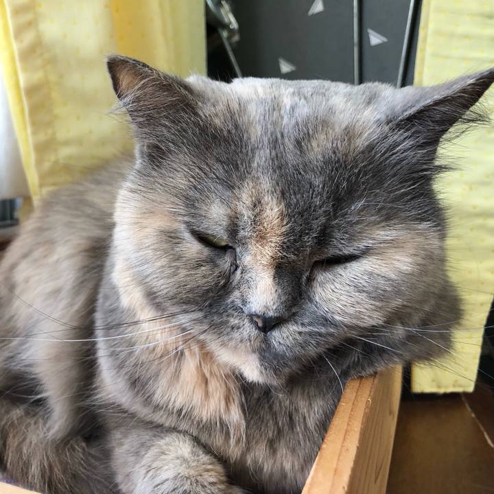 E261586e c23e 496b 8fae 7169de75b27e 1670065676306