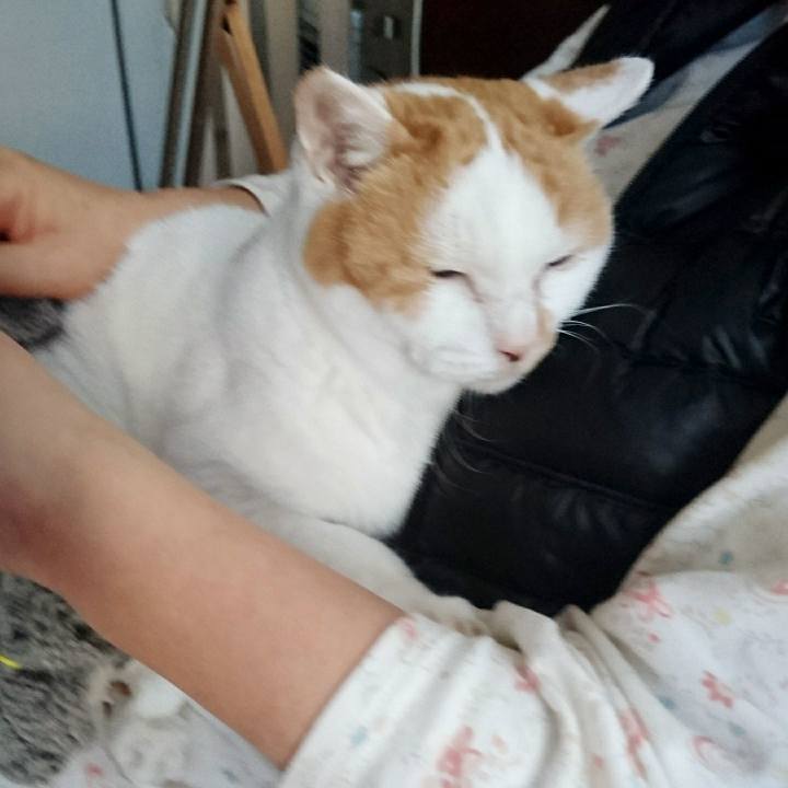 E261a7d1 734b 48ef adeb d0504585c56f 1514679209066