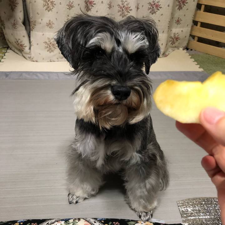 E261bfaf 0da4 42a4 932b 10e388d3e705 1580815944725