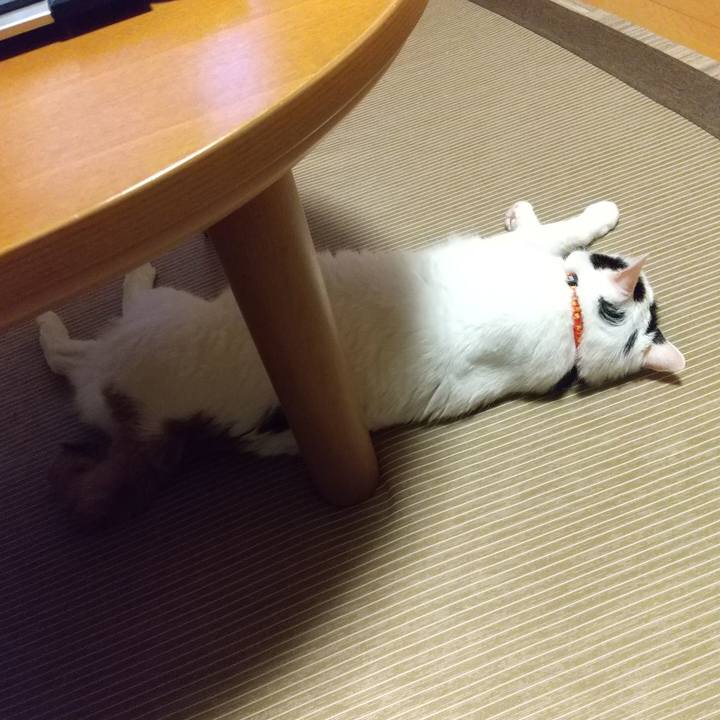 E261eff4 8fce 4572 b474 671b32d7449e 1627730244506