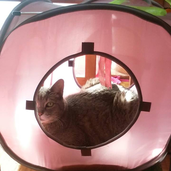 E261f211 c44d 421b b819 46edd1f816b2 1551485529962