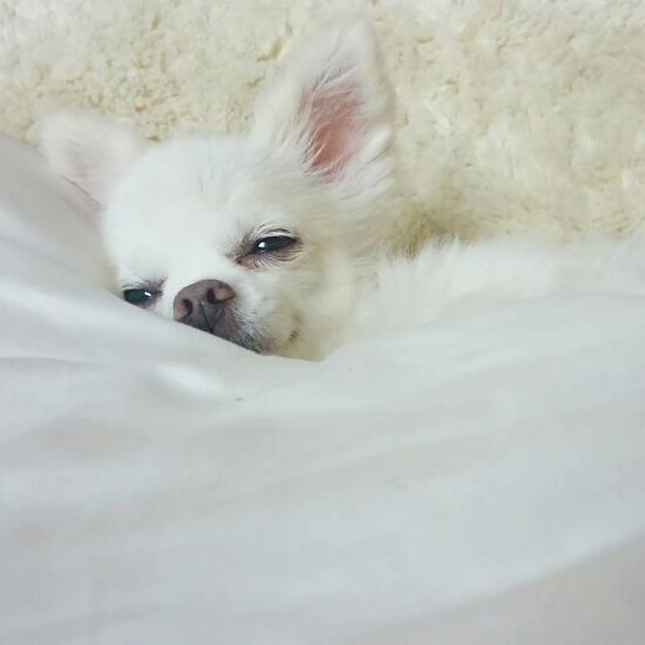 E261f4e2 8347 44f8 86f7 4919c0ebc721 1557635773100