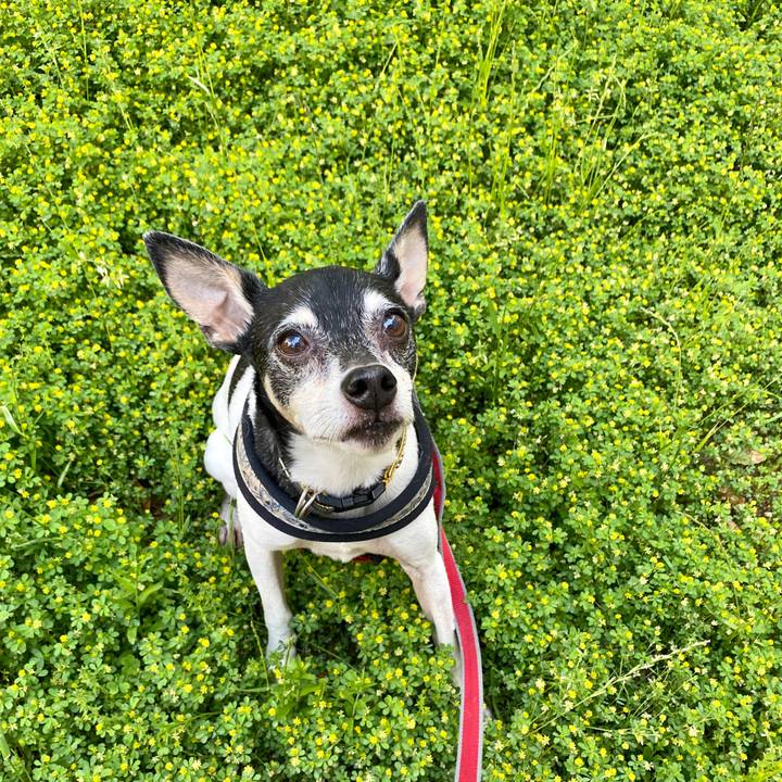 E2623023 22d3 4421 b714 69c80c4a4ca1 1588375290678