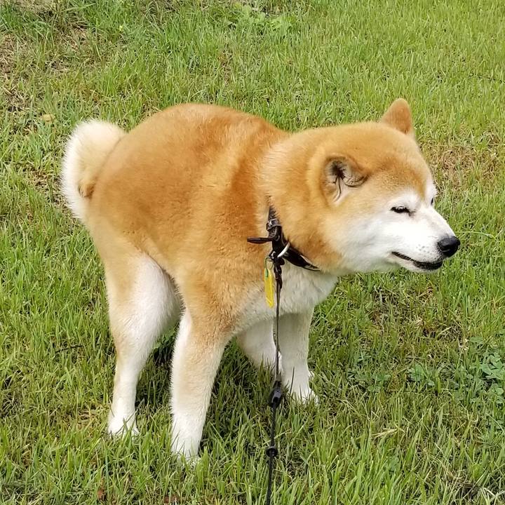 E2623043 a649 4e5a bbce fa0aa20b3868 1592033789111