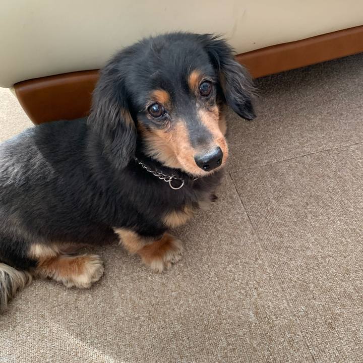 E262910f 7581 4a11 b14f ac90d7f8ba31 1587937898599