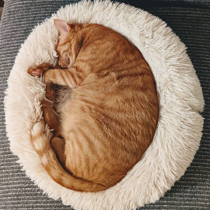 E262f74c c9ae 4ff1 b9ec 0bd43bb1cf1b 1625401383711