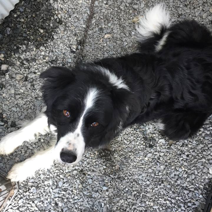 E262fa46 59c2 4125 91ec a28f4f767335 1583537309718