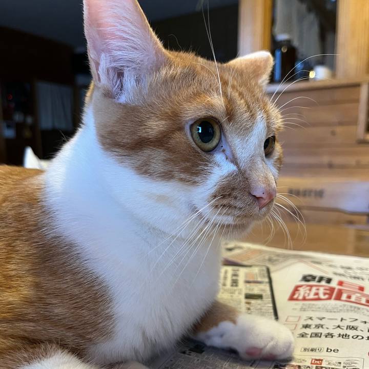 E2630d14 a7ce 40cb 9095 0c75f784c855 1676928046160