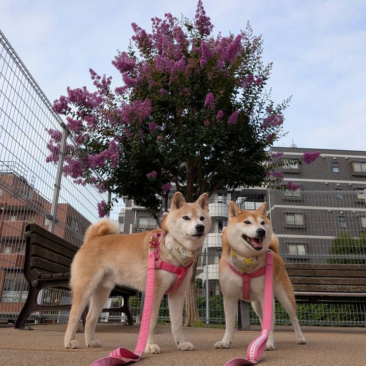 E2632838 74c0 44e5 a11b 167049cd7e78 1753234041230