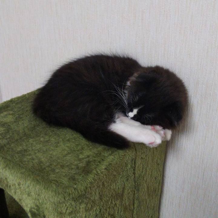 E2635589 d182 48d3 9c42 1bdf56fc186a 1640260293711