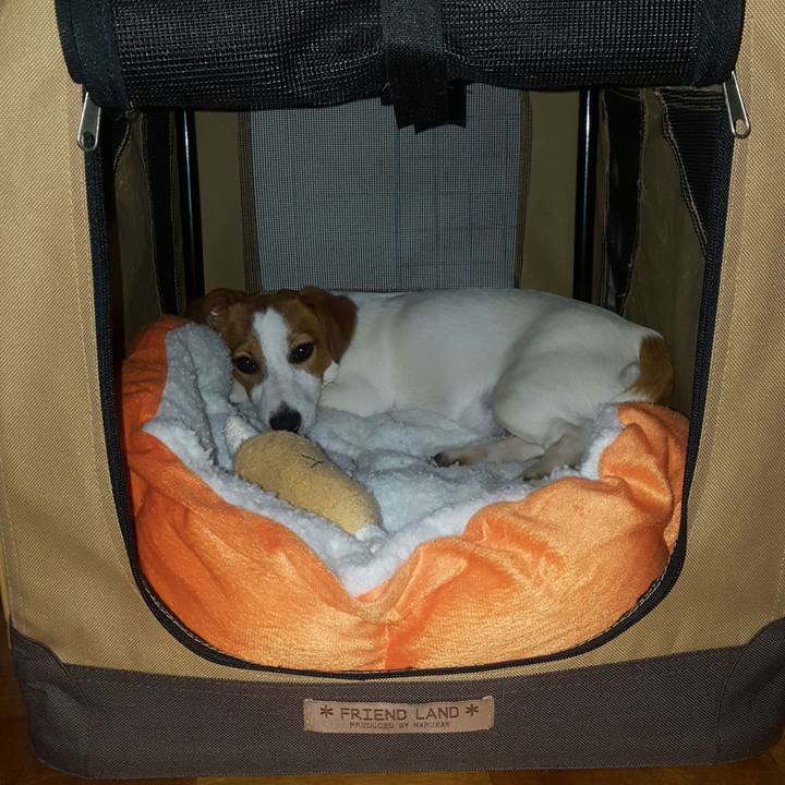 E2635fa8 12c4 4055 9f50 40a0512bf9bf 1556708521916