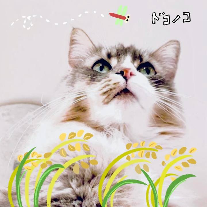 E2636333 a1b8 4749 b4b0 c178ead6a8fd 1761233736681