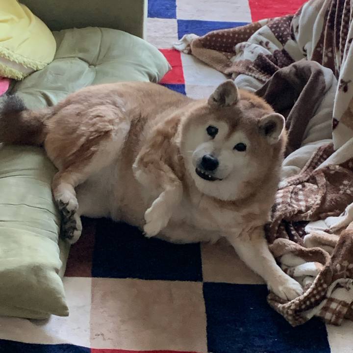 E2637474 b8fd 441c a141 d394c668d889 1643502367944