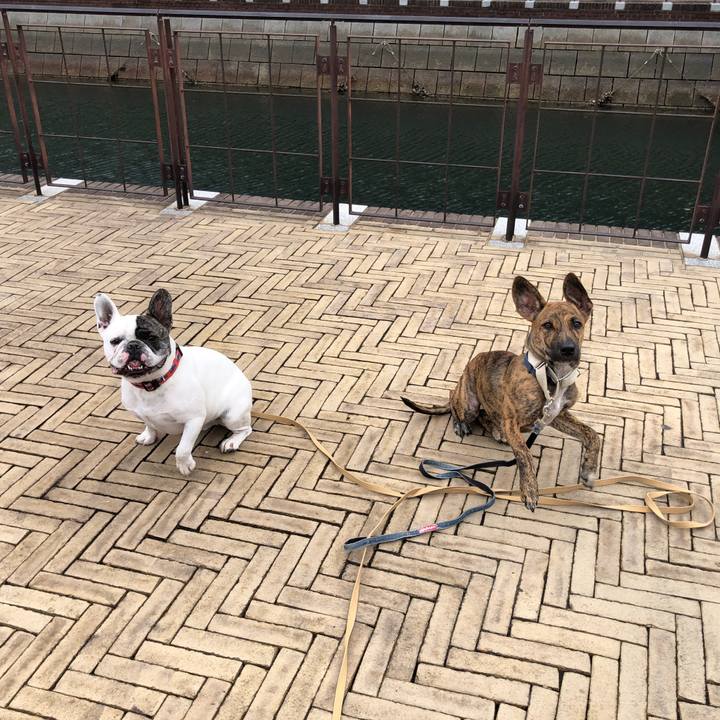 E263d136 4790 4dee 9b42 a15b9bf08ea8 1573642160646