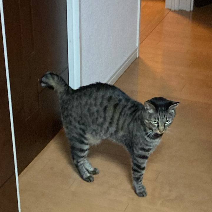 E263d23d 1379 441c 9aa3 9e74a49198af 1601892258674