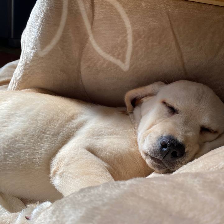 E264065f 2fd0 478a 88ac 12d032fe07be 1612757450352