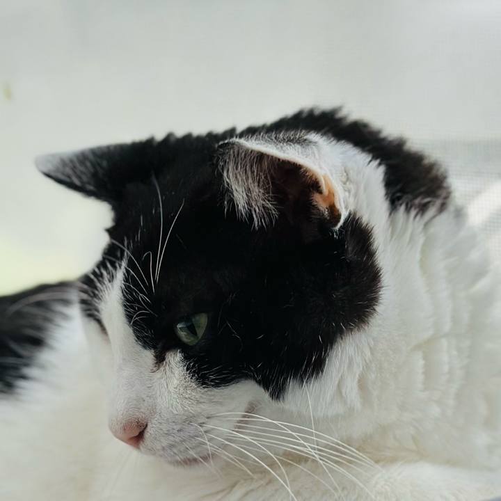 E2640a13 5867 4faa ba8a 23bc539cb7f1 1717815965769