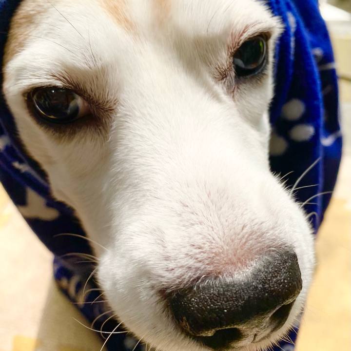 E2640f28 8519 4387 955b 8776870f04c1 1620621748662