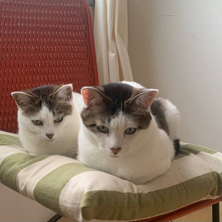 E264726f f31c 4e7c aa24 a16fa9afc325 1652700873140