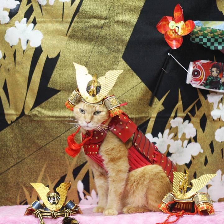 E26495b8 574b 40b5 ac6a 03874cb79afd 1682411979162