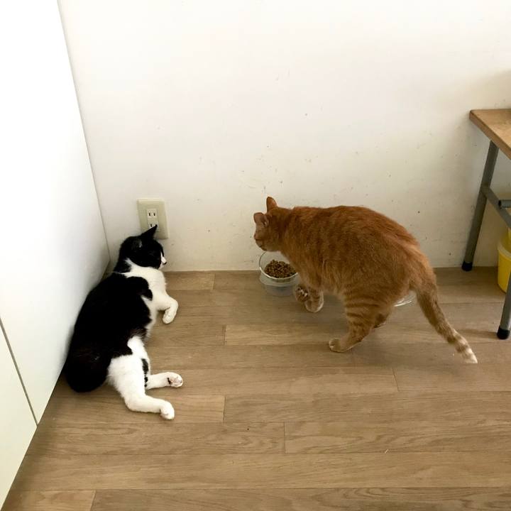 E2649e3f 87db 4f74 80d7 00072290e2b7 1526458385882