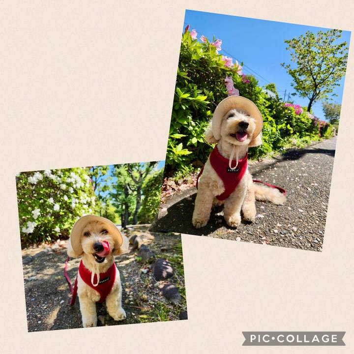 E264ff49 3ba9 48bb a60e 5be9de63e49c 1776385266470