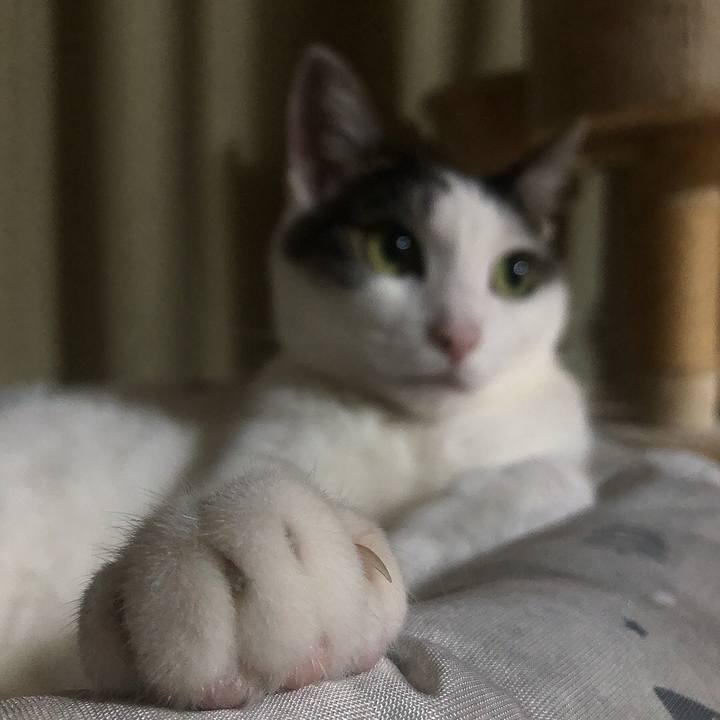 E2650956 84b6 4b7c 86df 1ea3624c1ebb 1692715243550