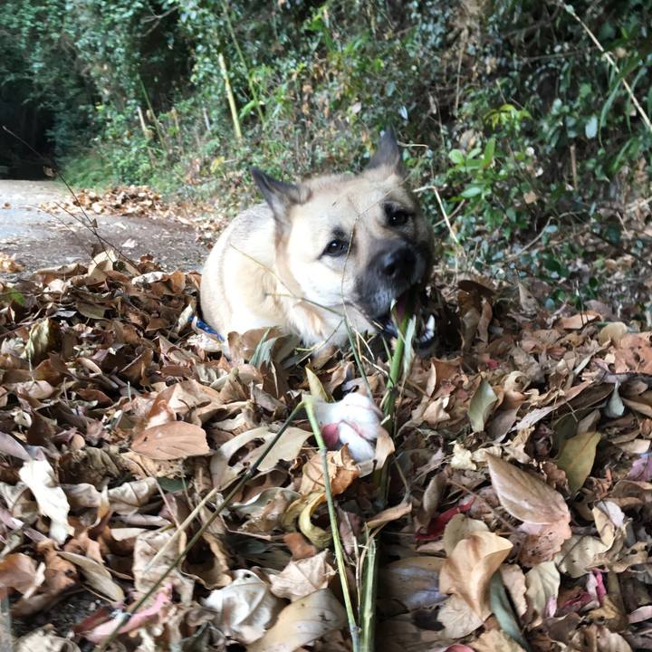 E2654415 8f14 4efb bfa0 66d738531d33 1514531358272