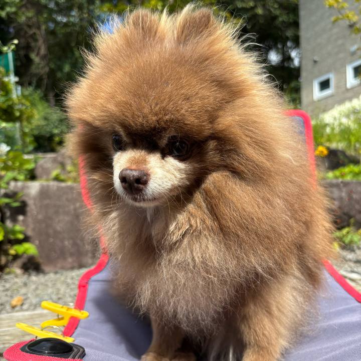 E2656866 b6cb 41d1 b2fe 021bebed93af 1757814442559