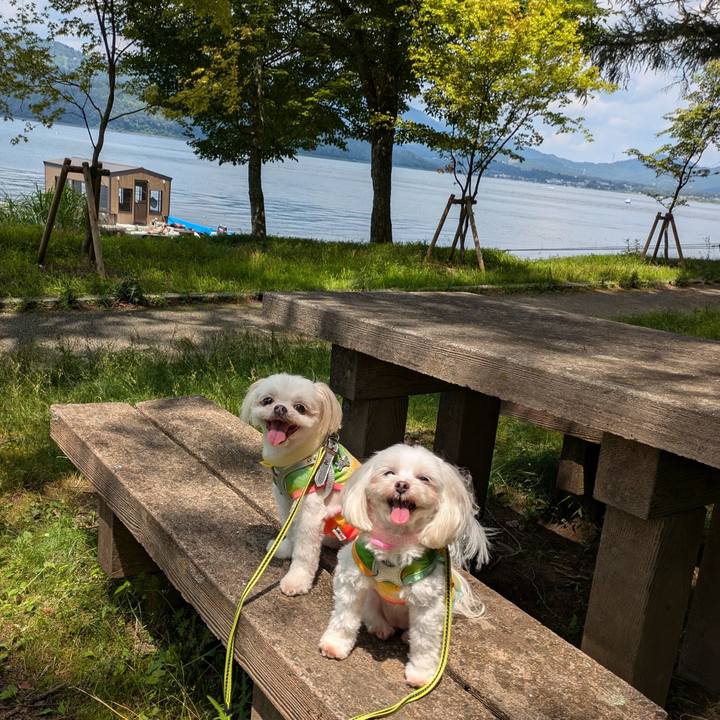 E2658fa4 94f1 46e7 af19 b63f87c644ff 1722762946281