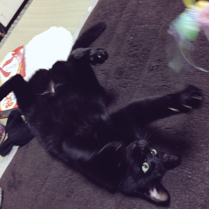 E265b140 fbca 4660 9c1b 601f5b981259 1515415832479