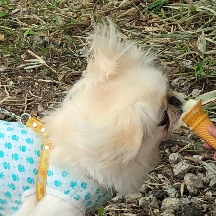 E265cbcb ebe6 440d 9709 1ae539aaebe1 1531706983727