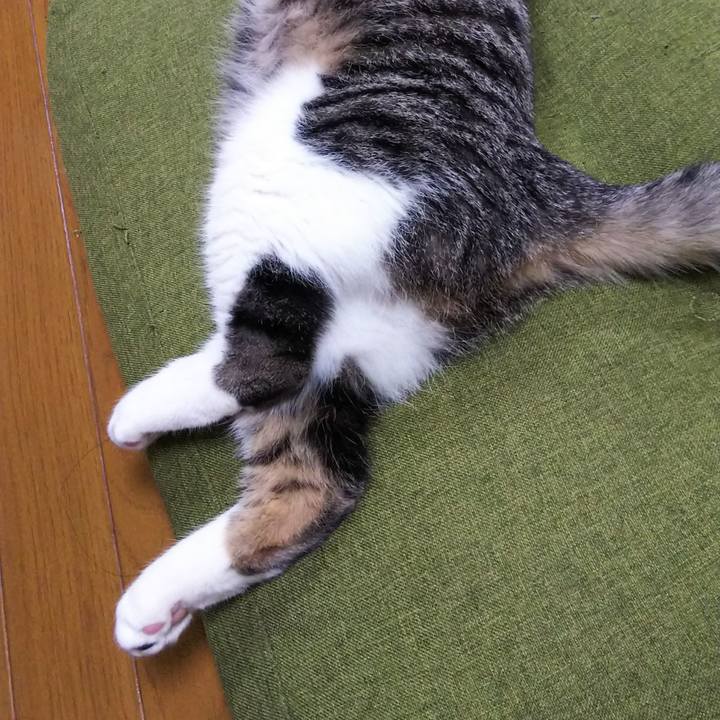 E265ebcc f078 48d1 a8f1 b8eedd4f891a 1617448960407