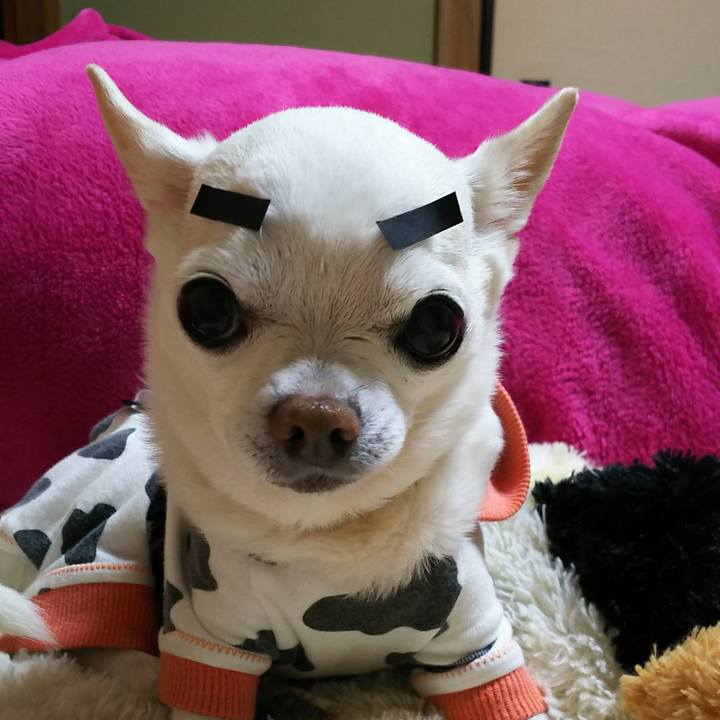 E265f112 1d34 4be0 9423 c118e784640a 1523357696697