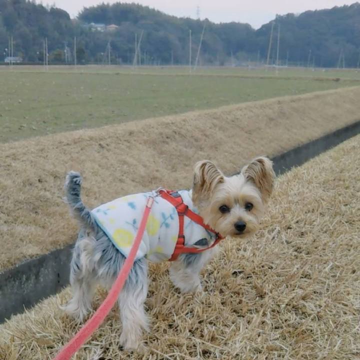 E2662877 1e5a 46db bbfa 83d00082766f 1640759097635