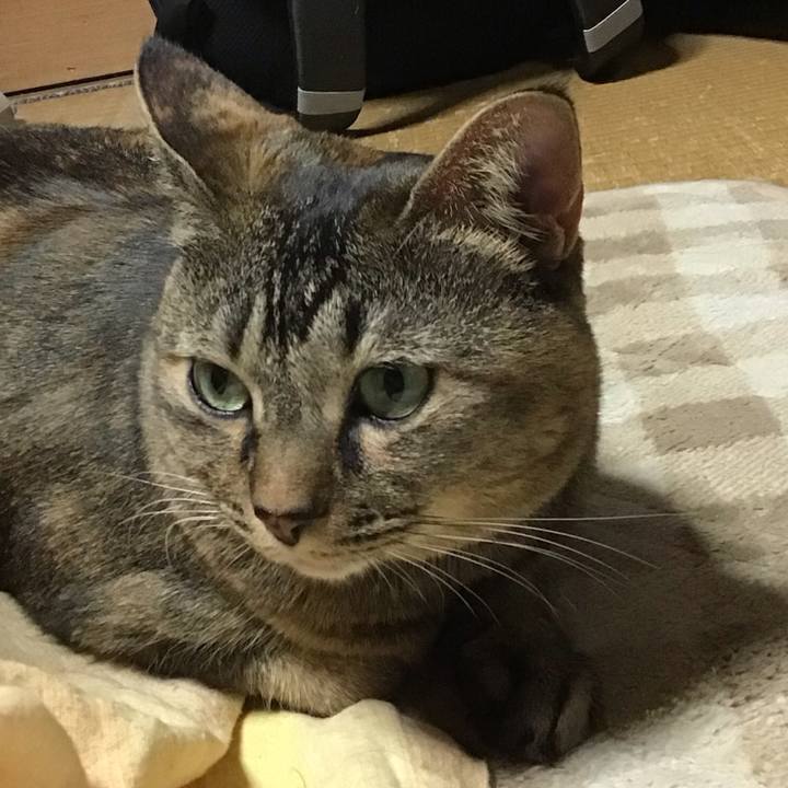 E266a152 4f47 46be 8ba5 d0949539feef 1702370085902