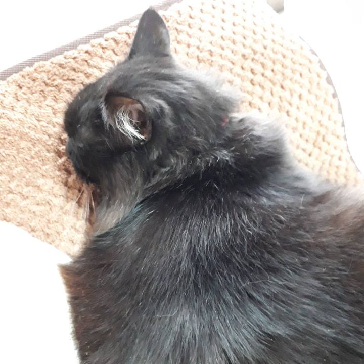 E266a459 859d 43d3 adc9 edd597e43144 1518681562912