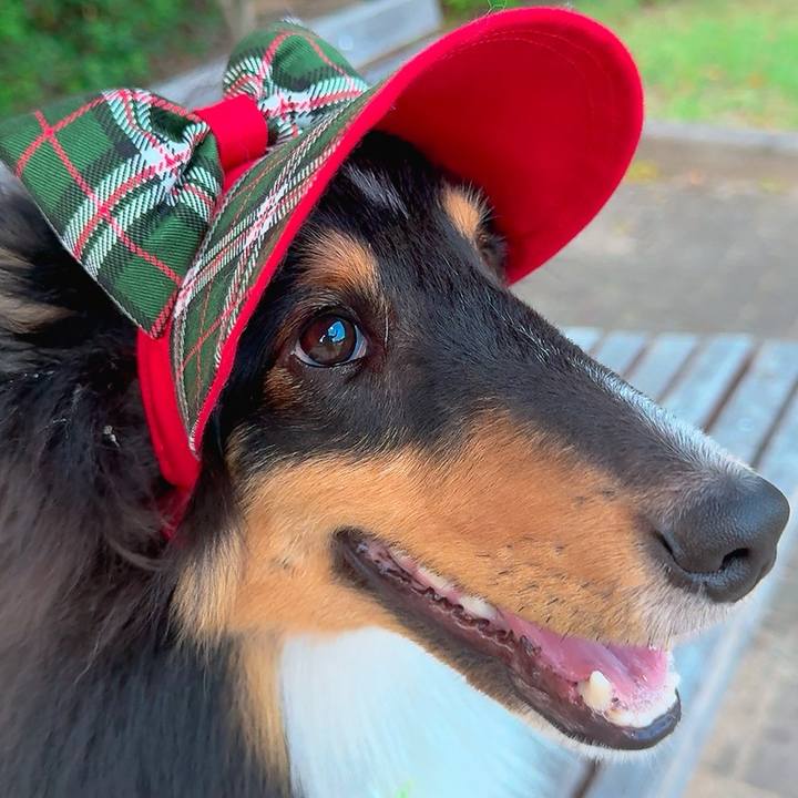 E266e10d 7f98 469b 9304 fa7e56c17a1d 1754420373611