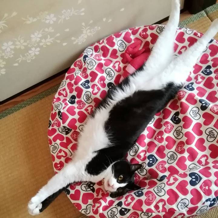 E26703c5 5c4a 4775 9dbf a78f102308f1 1560948616149