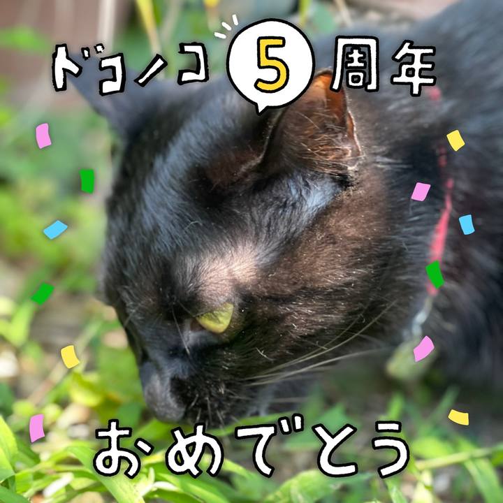 E2670418 a16f 43f0 a2da 17b06ba02fce 1623311462881