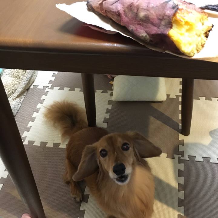 E2671c12 a706 4479 90d7 27738730c820 1604834876542