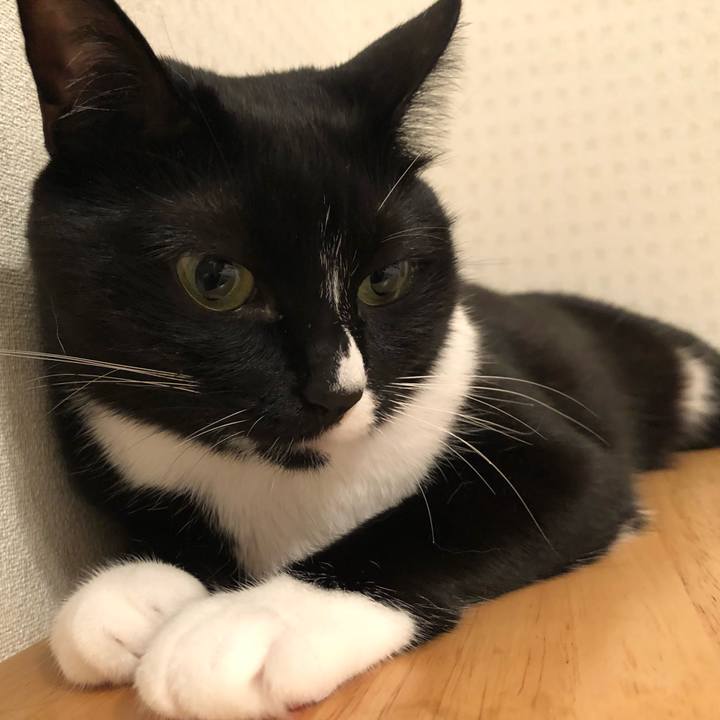 E2672deb 82d3 4d7f af4b fcb3bbd7f517 1536357845269